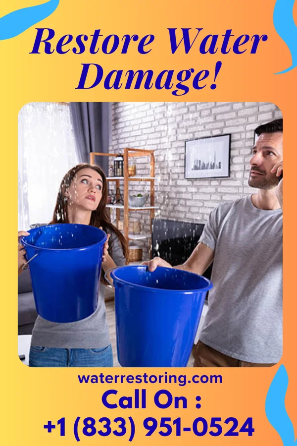 water restoration Silver Flood Cleanup Experts Rinard
