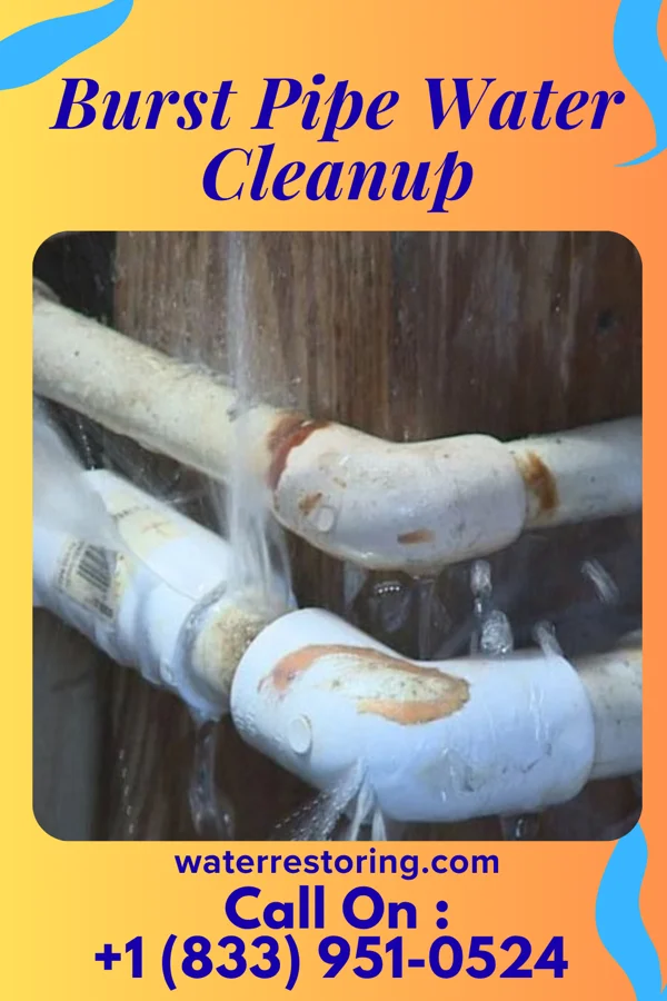 Burst Pipe Water Cleanup in Rinard, IA