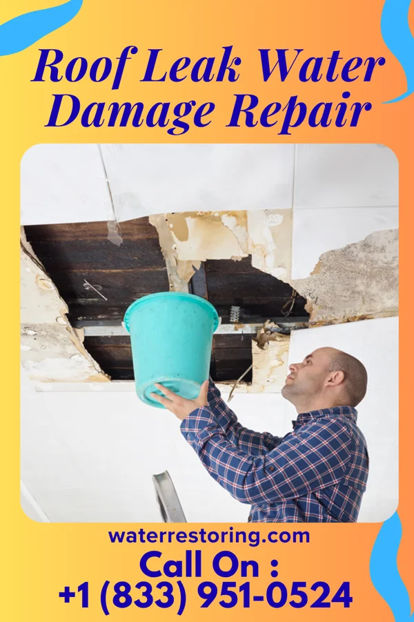 Roof Leak Water Damage Repair in Rinard, IA